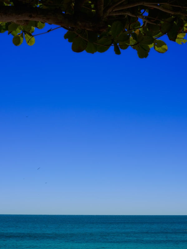 AOS MARES