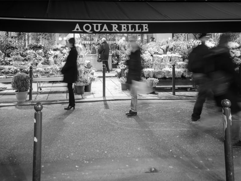 CENAS DE PARIS #14