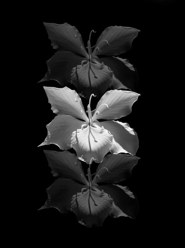 FLEURS VERTICAL