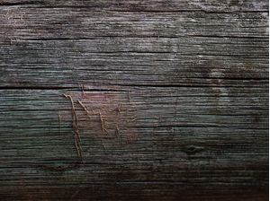 TEXTURA NATURAL 03