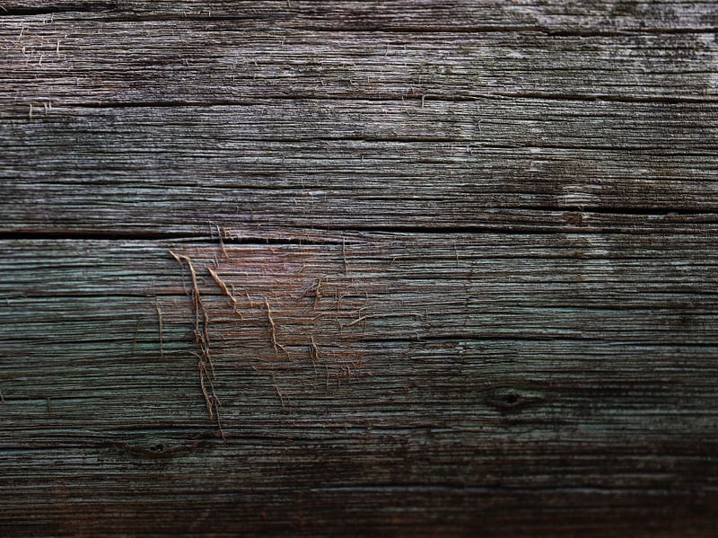 TEXTURA NATURAL 03