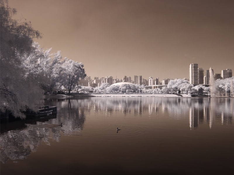 LAGO DO IBIRAPUERA INFRAVERMELHO