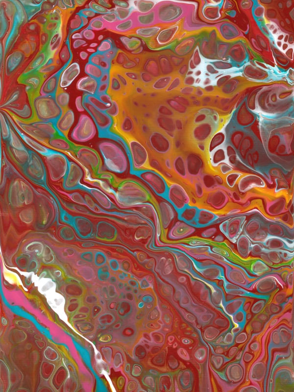 FLUID - CELULAR