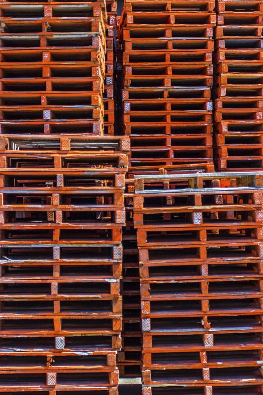 ORANGE IN LINES