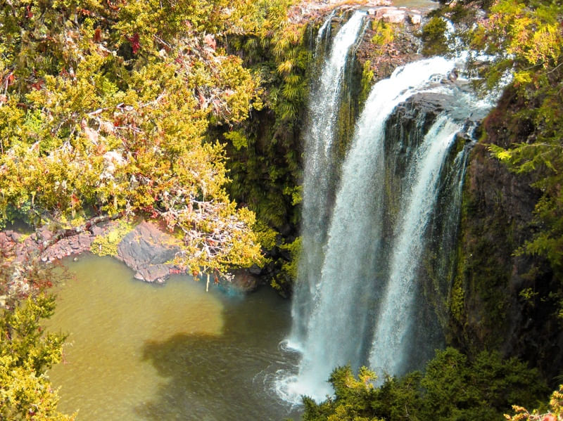 OTUIHAU WHANGAREI FALLS