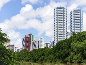 VERDE DA CIDADE - RIO CAPIBARIBE