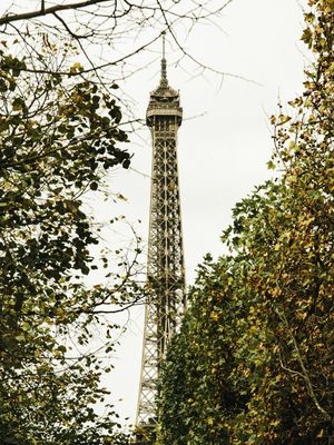 PARIS TORRE EIFFEL 6