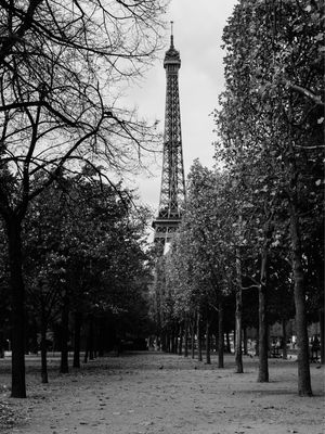 PARIS TORRE EIFFEL 7