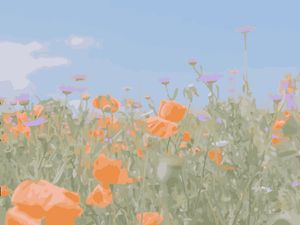 CAMPO DE FLORES LARANJAS