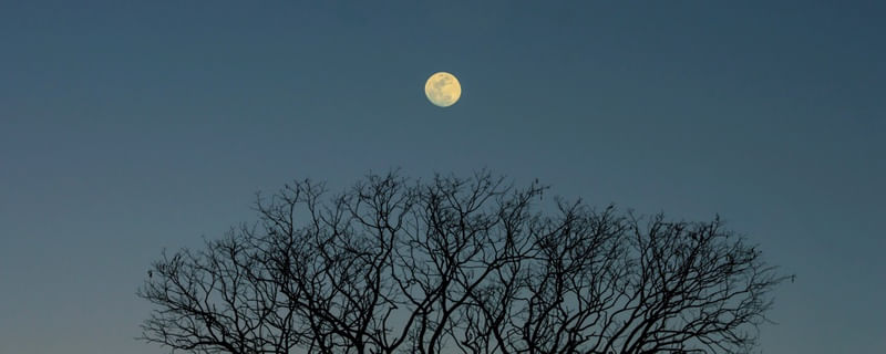 LUA E MANGUE - AZUL