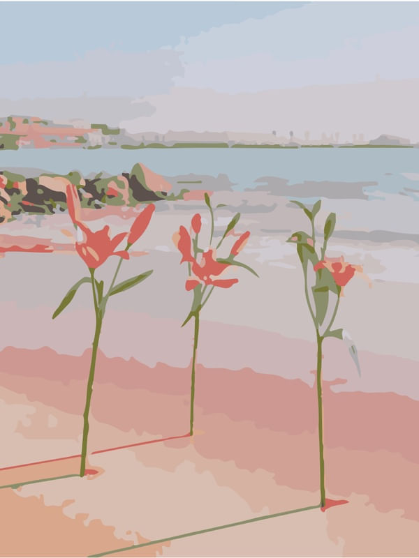 FLORES NA AREIA