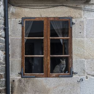 EL GATO NA JANELA