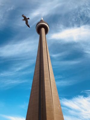 TOWERTORONTO