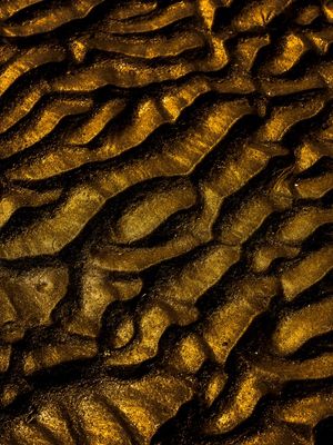 GOLDEN VALLEY