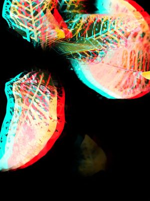 FOLHAS NEON