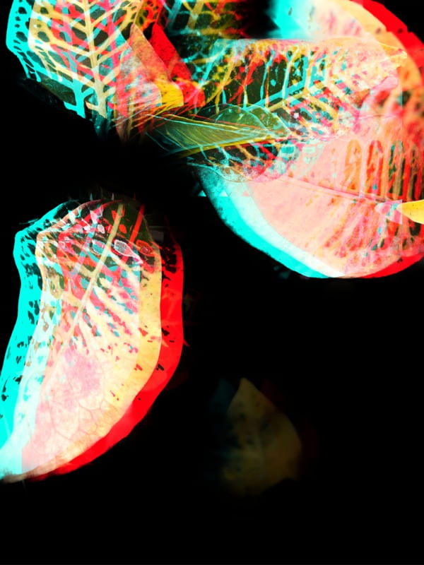 FOLHAS NEON