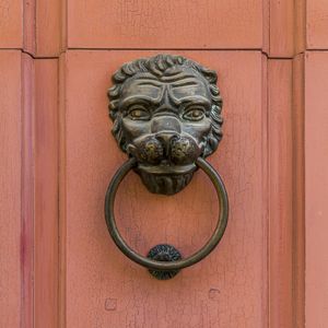 LION DOOR
