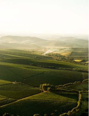 CAFEZAIS VISTOS DO TOPO DA SERRA DE TRÊS PONTAS