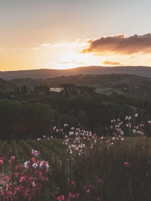 TOSCANA ITALIA