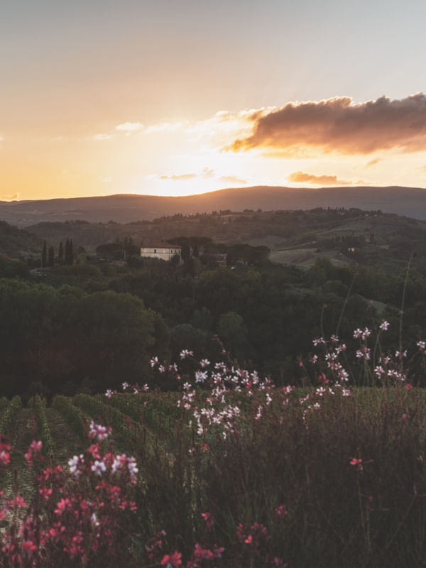 TOSCANA ITALIA