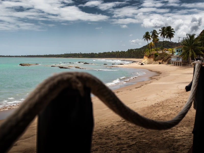 PAISAGEM DE ALAGOAS JAPARATINGA