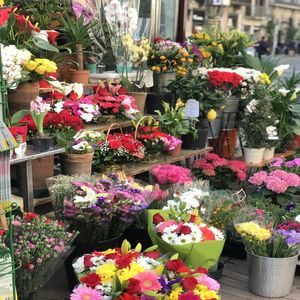 FLORIDOBARCELONA