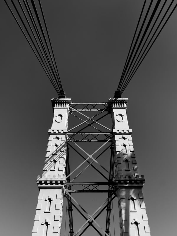 PERSPECTIVA 49 UA