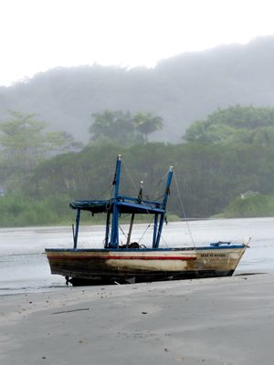 MAR DE ROSAS