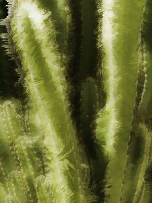 BORRÃO COM CACTOS