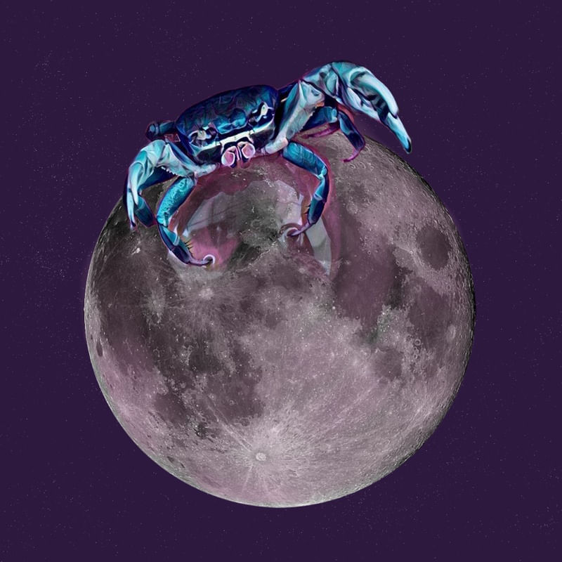 GUAIAMUM MOON
