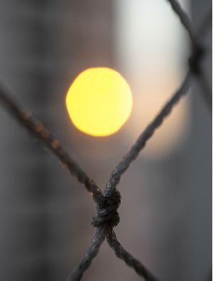 SOL NA TELA