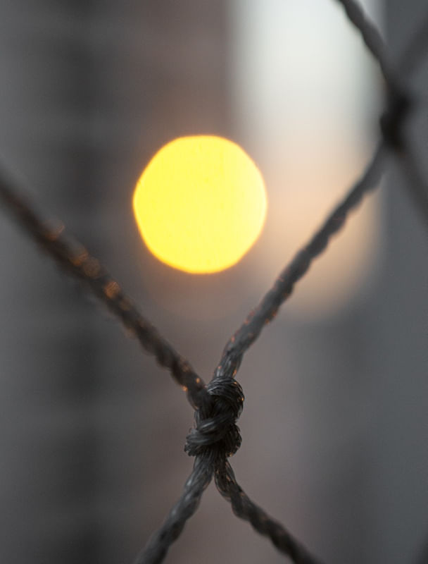 SOL NA TELA