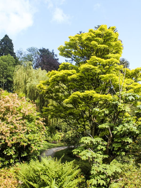 O VERDE INTENSO DE POWERSCOURT GARDENS IRLANDA