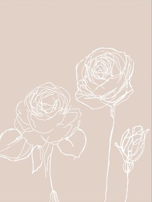 ROSAS EM BRANCO