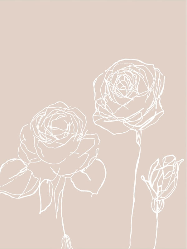 ROSAS EM BRANCO