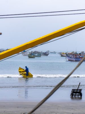 PEIXE DO DIA (PRIMEIRO PAR)