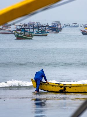 PEIXE DO DIA (SEGUNDO PAR)