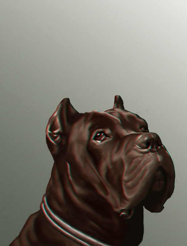 CANE CORSO