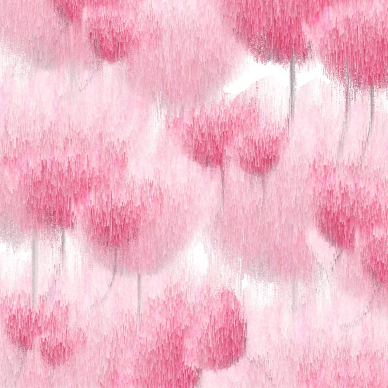 ROSAS EM RISCOS