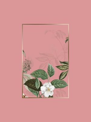 FOLHAS E OURO FUNDO ROSÉ