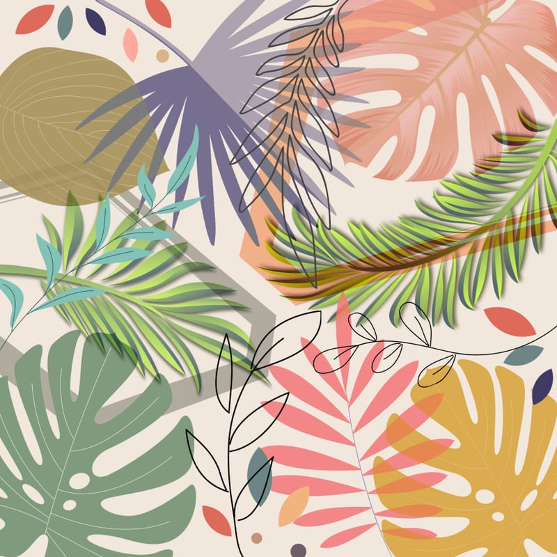 TROPICAL CS VIII
