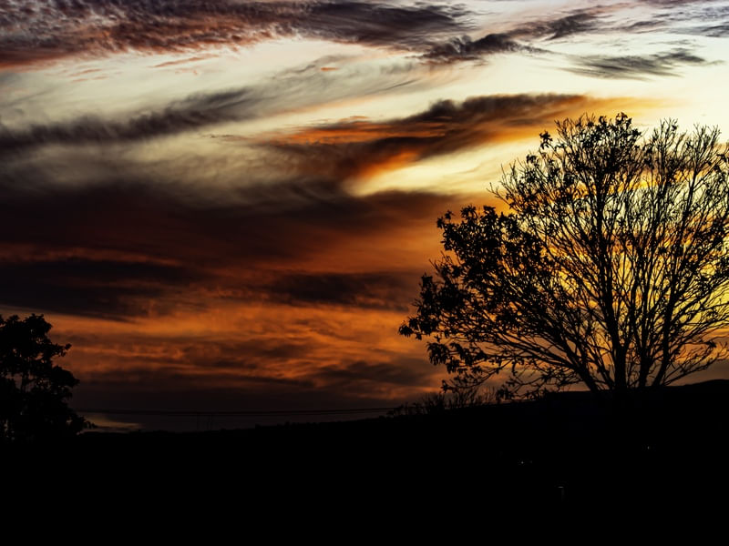 PÔR DO SOL AVERMELHADO - ÁRVORE