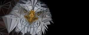 EAGLE WITH SPACE