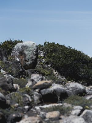 A OBSERVADORA