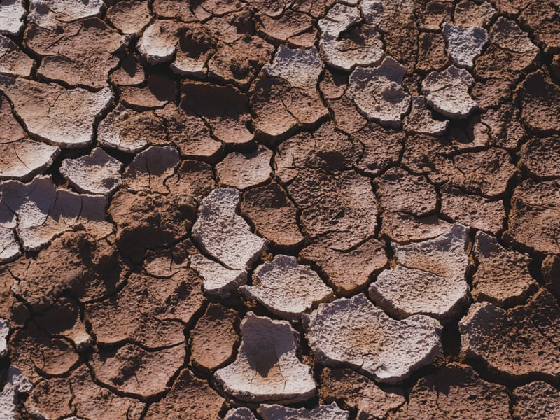 TEXTURA DO NORDESTE