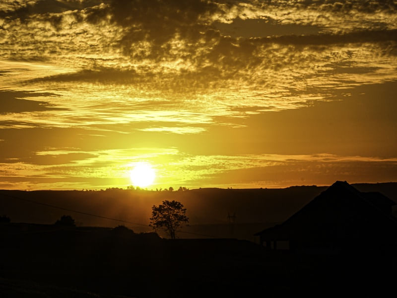 PÔR DO SOL - CASA E ÁRVORE - CONTRA LUZ