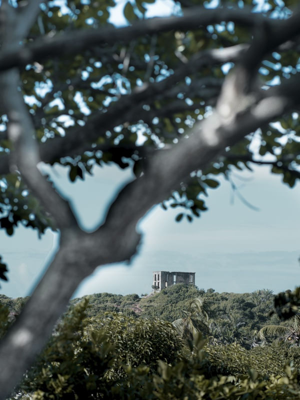 VISTA DO ALTO