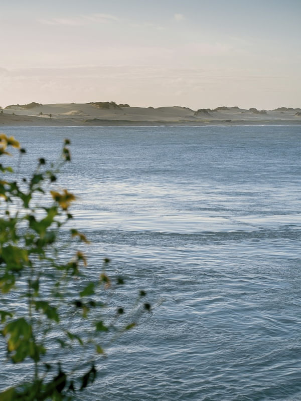 ACAL-MAR