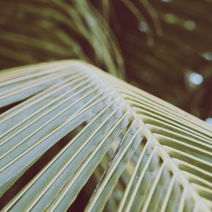 TEXTURA DO VERÃO (QUADRADO)