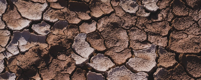 TEXTURA DO NORDESTE (HORIZONTAL)